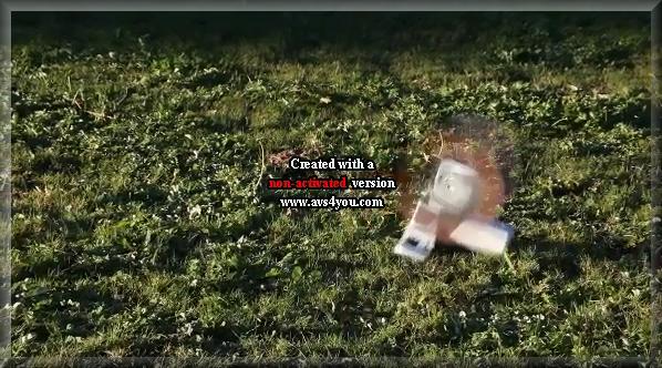 Principle of Flight Video