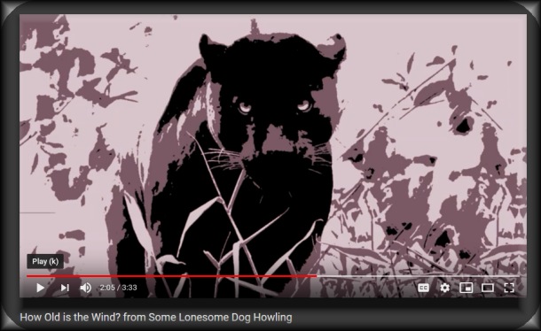 Port Elizabeth Music