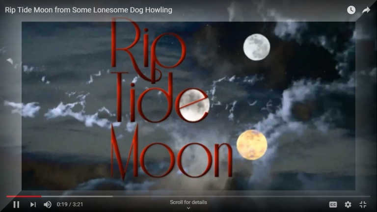 Port Elizabeth Music: Rip Tide Moon